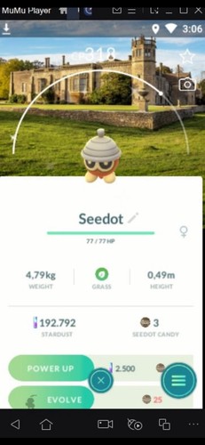 Shiny seedot lacock - shiny,