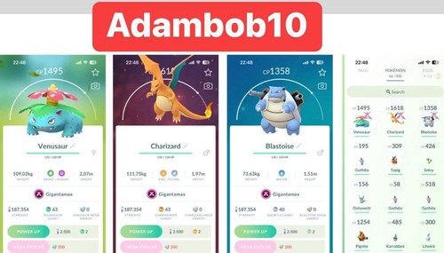 Combo non shiny gigantamax - combo,