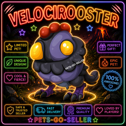 Velocirooster molto - velocirooster, (molto