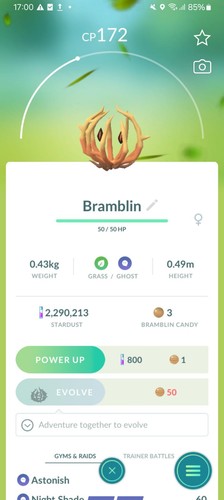 Bramblin pokemon non - bramblin,