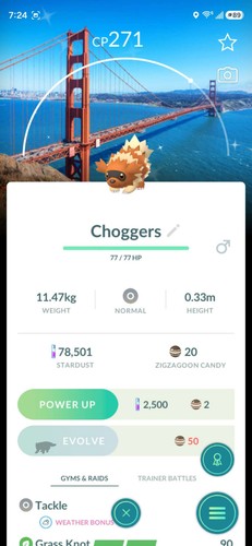 Pokemon ptc shiny san - go,