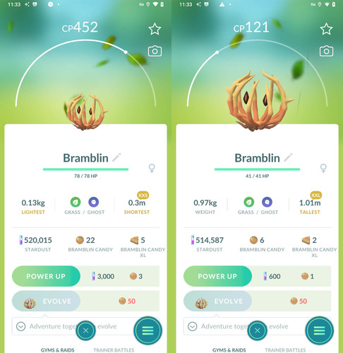 Pokémon bramblin xxl - pokémon,