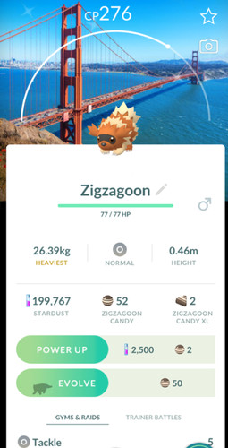 Pokemon trade zigzagoon - pokemon, go