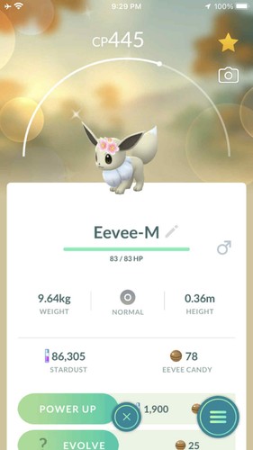 Pokemon shiny eevee - shiny, maschio
