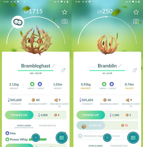 Pokémon bramblin - go,