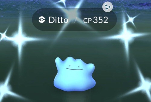 Shiny ditto t c - ✨,
