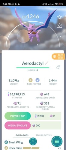 Aerodattilo lucido che indossa