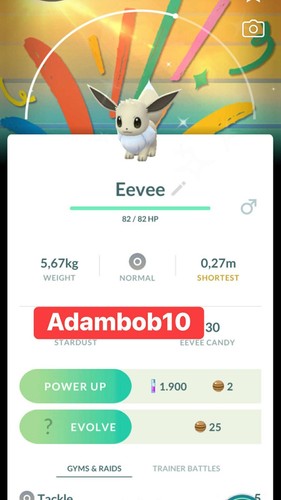 Pokémon--Go--Shiny--Eevee-Spe