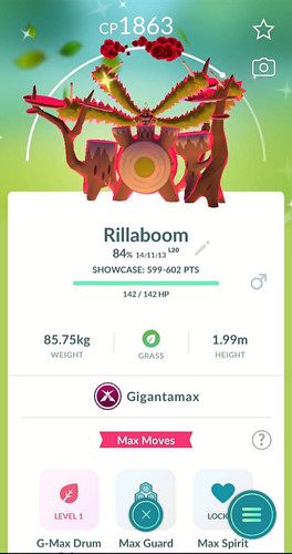 Shiny gigantamax rillaboom - ✨shiny,